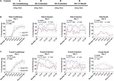 Inhibition of Diacylglycerol Lipase Impairs Fear Extinction in Mice